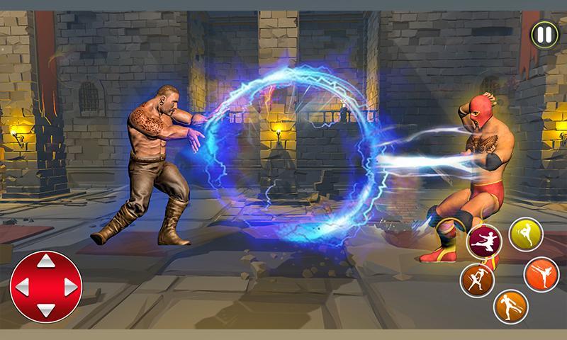 Real Kung Fu Fighting Tiger 2019