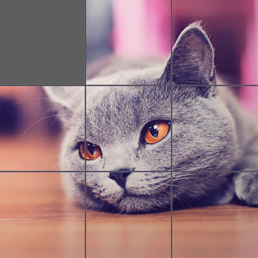 Jigsaw Puzzle: Cute Animals