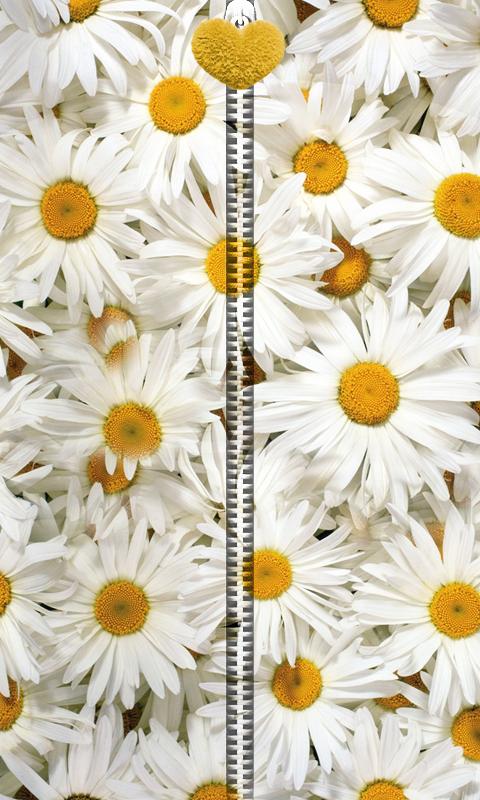 Daisy Flowers Zipper UnLock