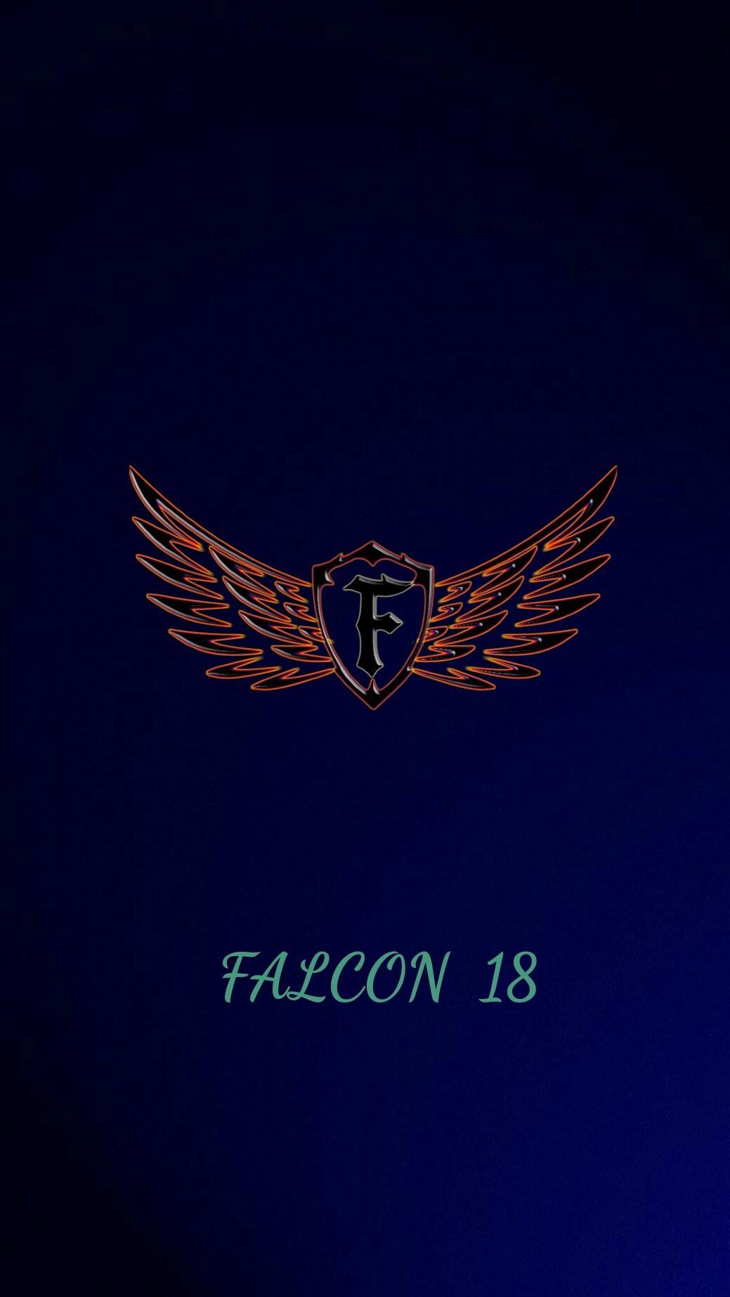 falcon 18