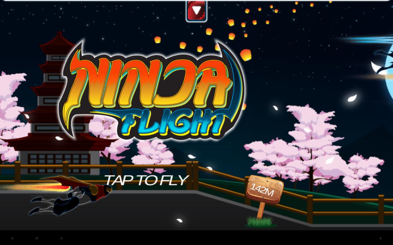 Ninja Flight