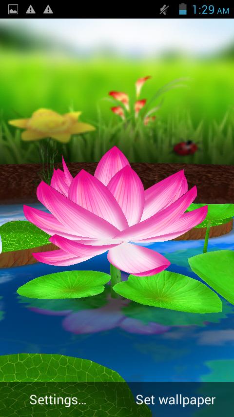 Lotus 3D Live Wallpaper