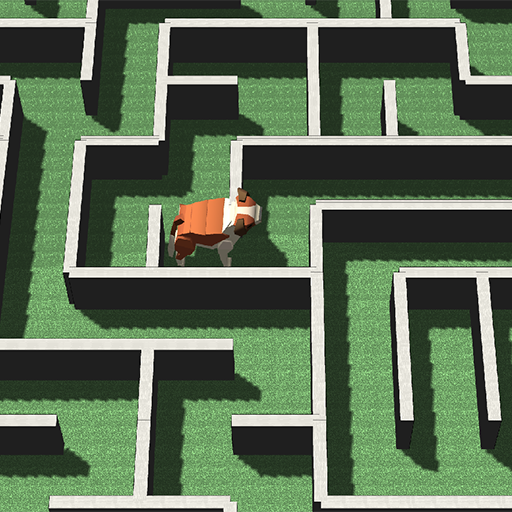 Dog Maze 3D