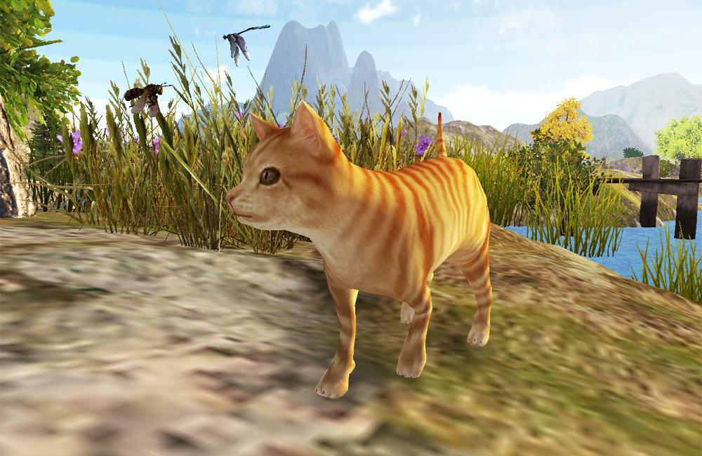 wild cat survive