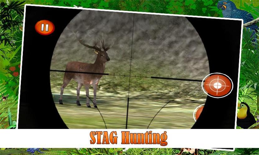 Jungle Hunting 2015