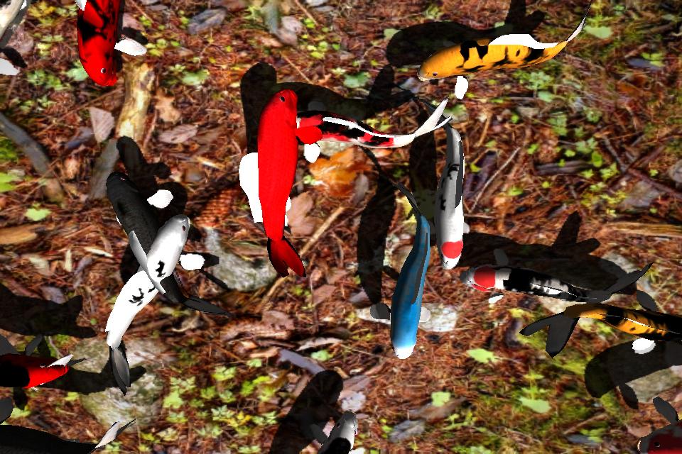 Koi Fish